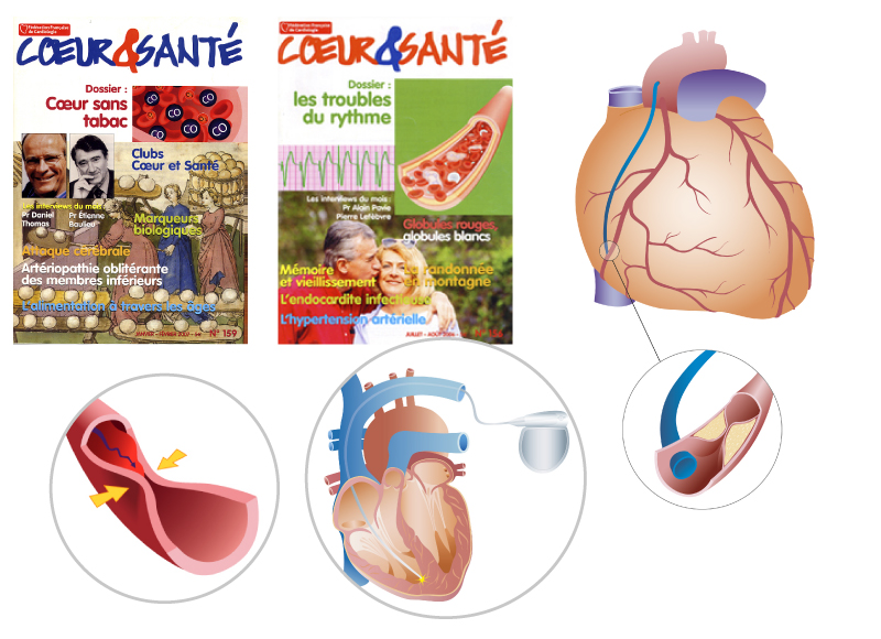 illustration scientifique magazine cœur et santé