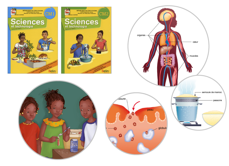 illustration scientifique scolaire