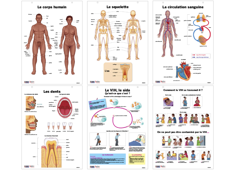 illustration scientifique scolaire