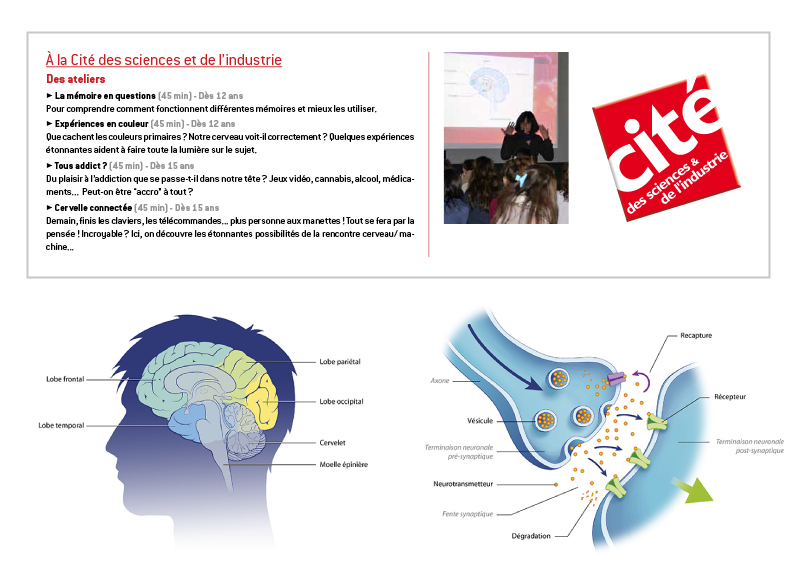 illustration scientifique animation atelier