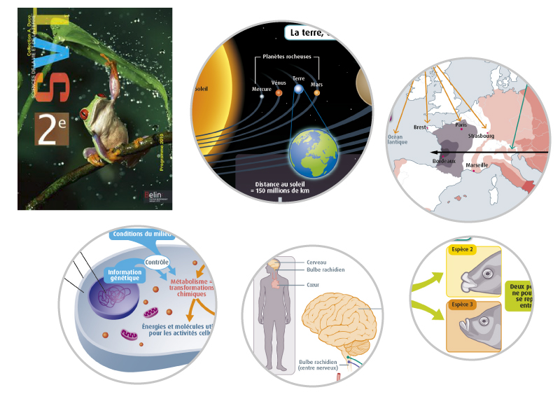 illustration scientifique scolaire