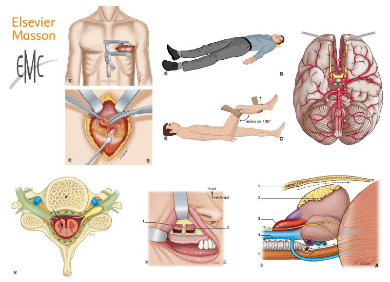 illustration scientifique médecine spécialisée