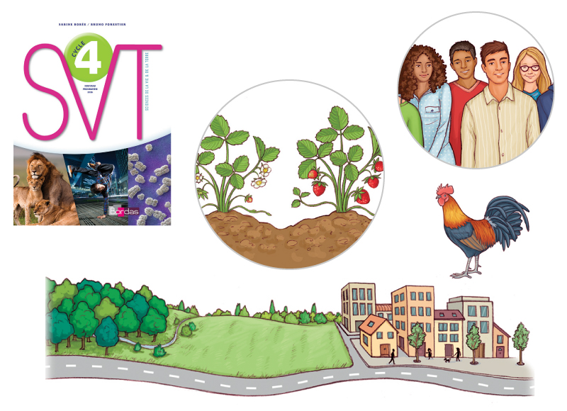 Illustration scientifique manuel scolaire svt