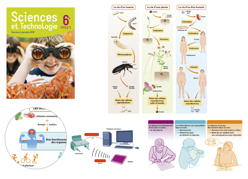Illustration scientifique manuel scolaire sciences